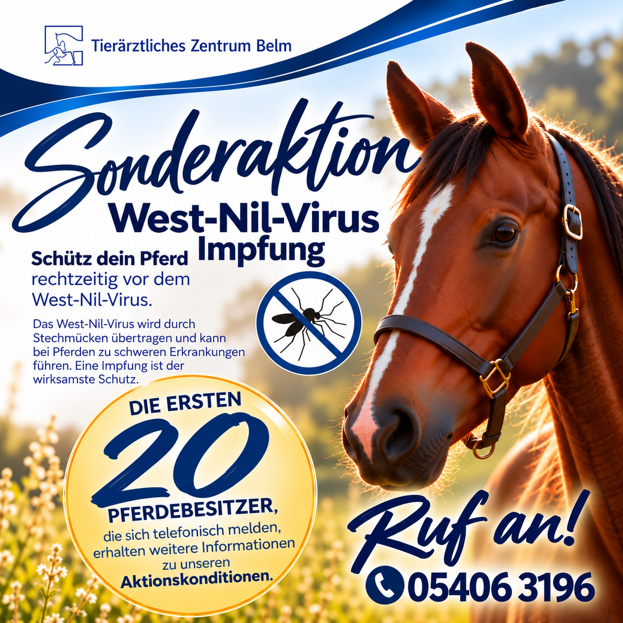 Sonderaktion zur West-Nil-Virus-Impfung für Pferde: Die ersten 20 Pferdebesitzer, die sich telefonisch melden, erhalten weitere Informationen zu den Aktionskonditionen. Telefon: 05406 3196.
