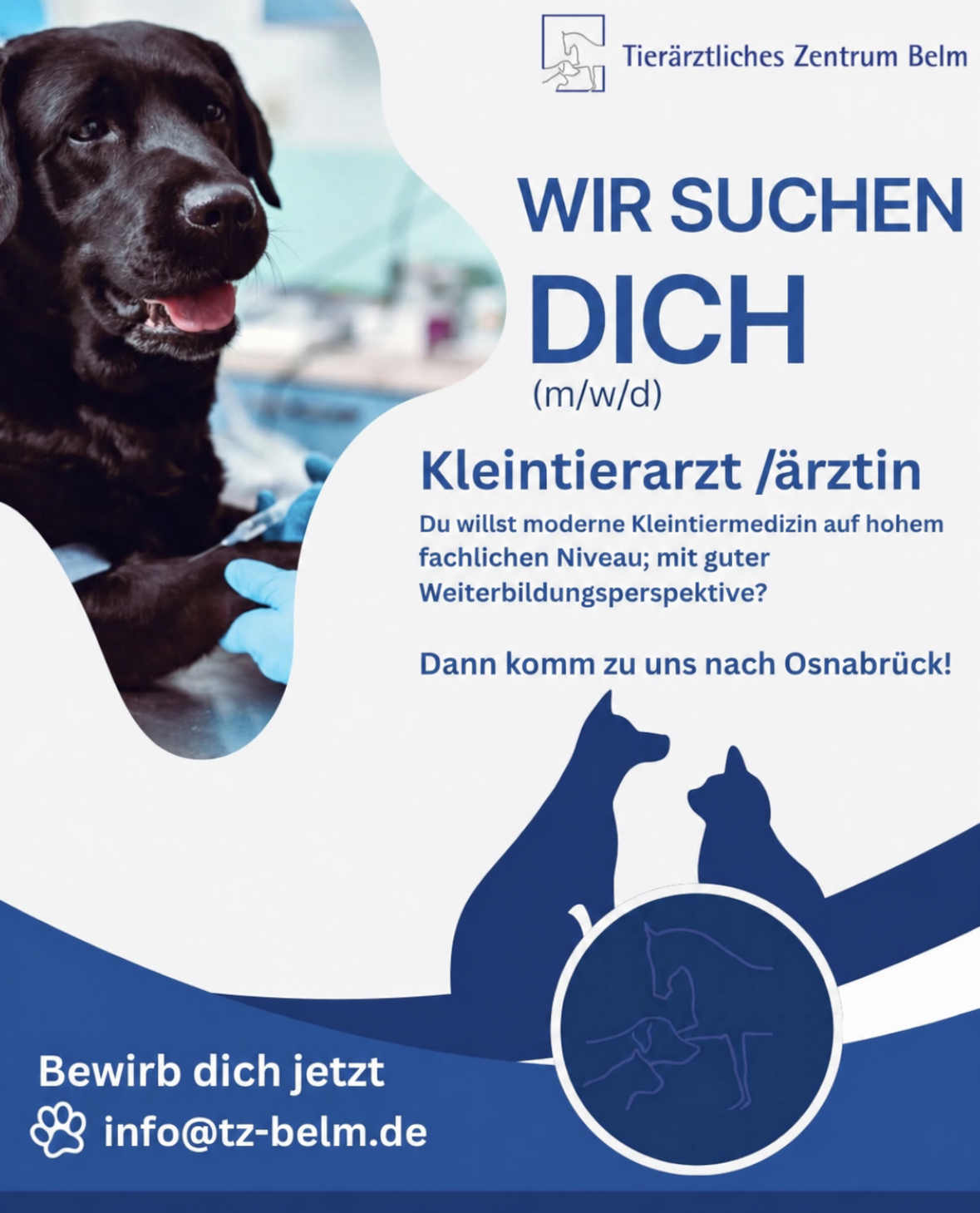 Wir suchen dich: Kleintierarzt oder Kleintierärztin